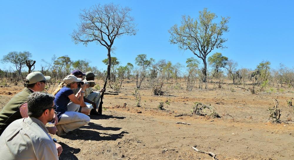 Hoyo Hoyo Safari Lodge Mluwati Concession Zewnętrze zdjęcie