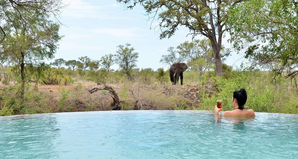 Hoyo Hoyo Safari Lodge Mluwati Concession Zewnętrze zdjęcie