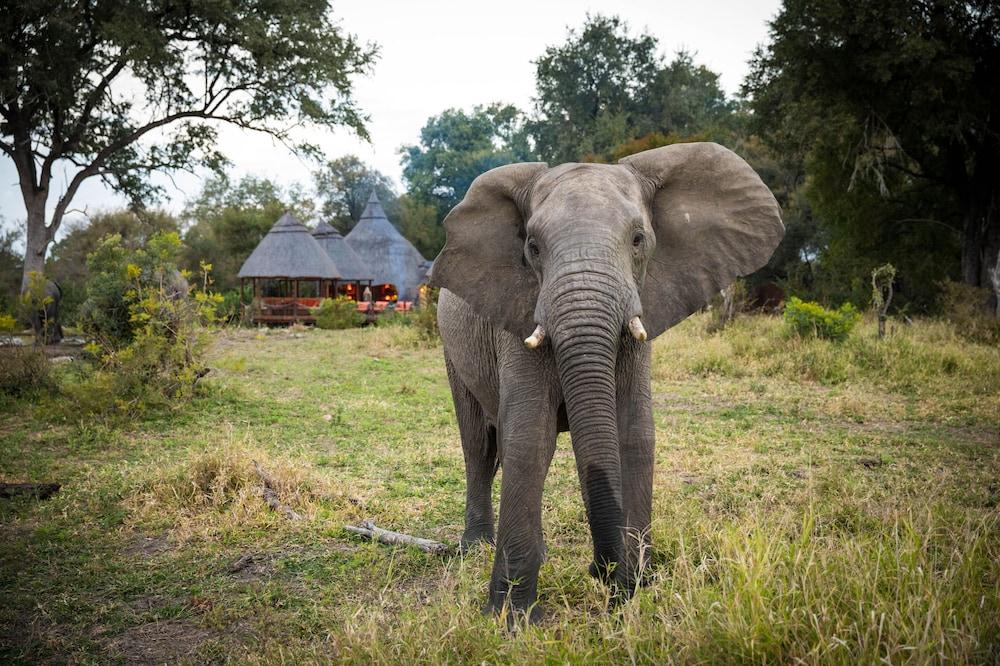 Hoyo Hoyo Safari Lodge Mluwati Concession Zewnętrze zdjęcie