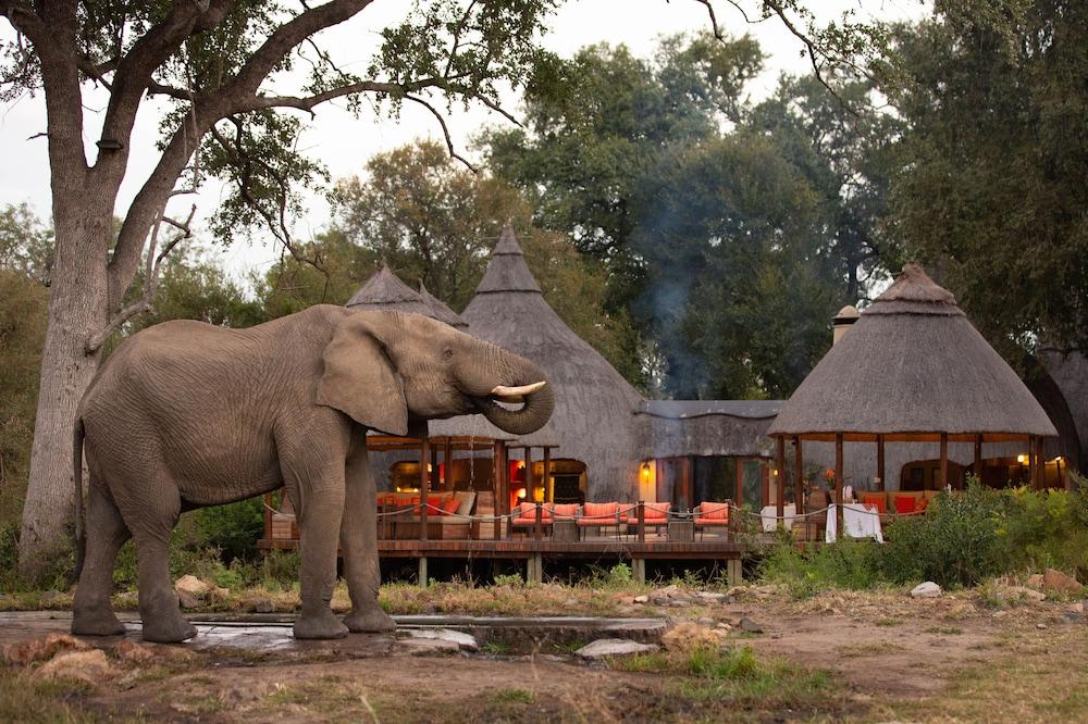 Hoyo Hoyo Safari Lodge Mluwati Concession Zewnętrze zdjęcie