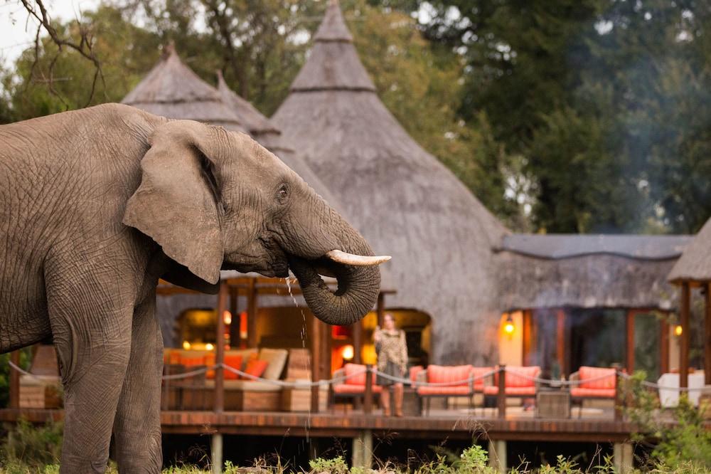 Hoyo Hoyo Safari Lodge Mluwati Concession Zewnętrze zdjęcie