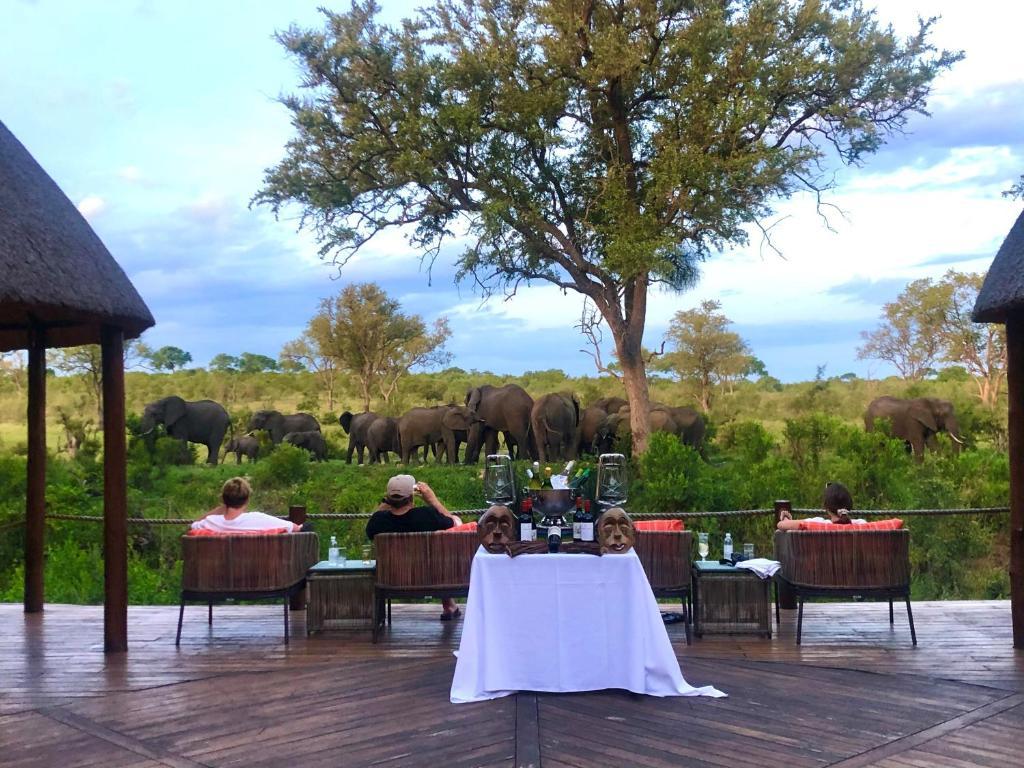 Hoyo Hoyo Safari Lodge Mluwati Concession Zewnętrze zdjęcie