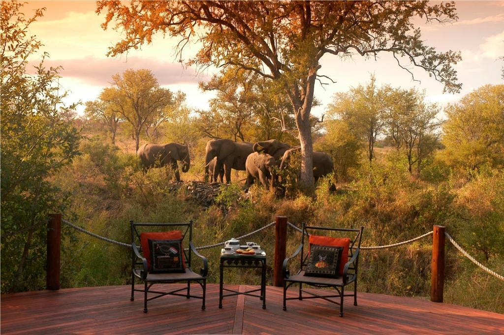 Hoyo Hoyo Safari Lodge Mluwati Concession Zewnętrze zdjęcie